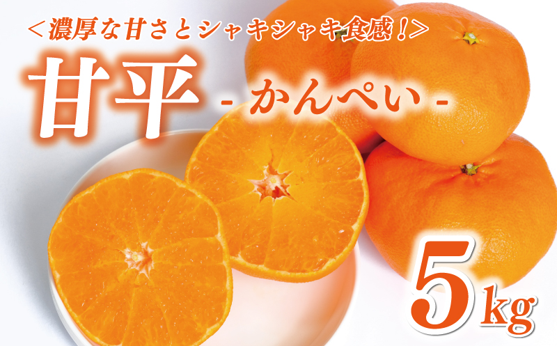 甘平5kg（愛媛県愛南町） | ふるさと納税サイト「ふるさとプレミアム」