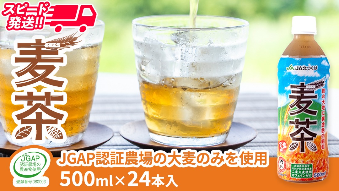スピード発送!!【 JA 北つくば 】 JGAP認証 麦茶 1箱 ( 500ml × 24本