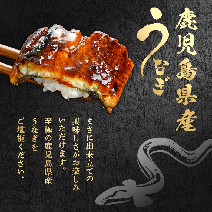 九州産うなぎ蒲焼 約900g（頭なしの形の良い限定品！）冷凍便 Amazon.co.jp: 港ダイニングしおそう 鰻蒲焼き 無頭 鹿児島