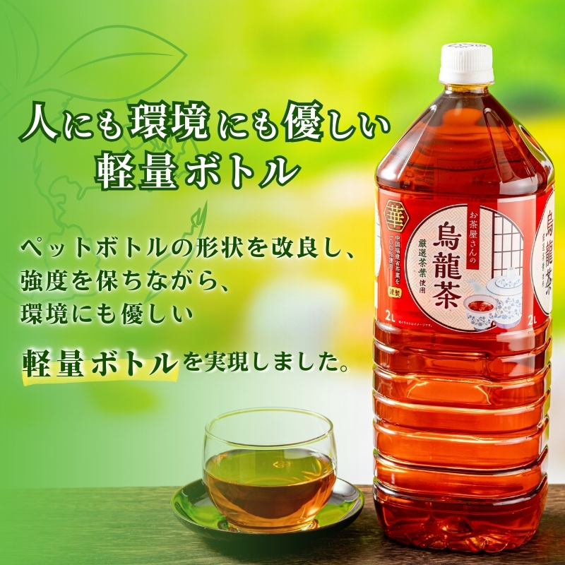 ふるさと納税】緑茶 烏龍茶 セット 2L 12本 お茶 煎茶 日本茶