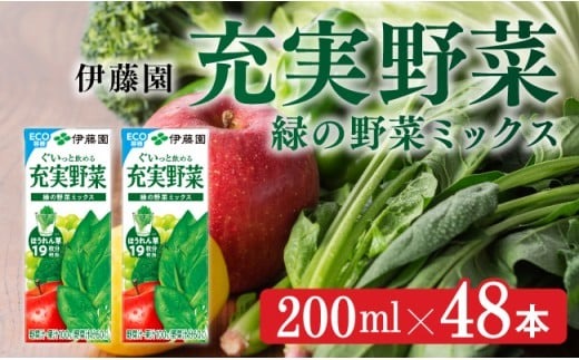 野菜ジュース 伊藤園 充実野菜 緑の野菜ミックス （紙パック） 200ml