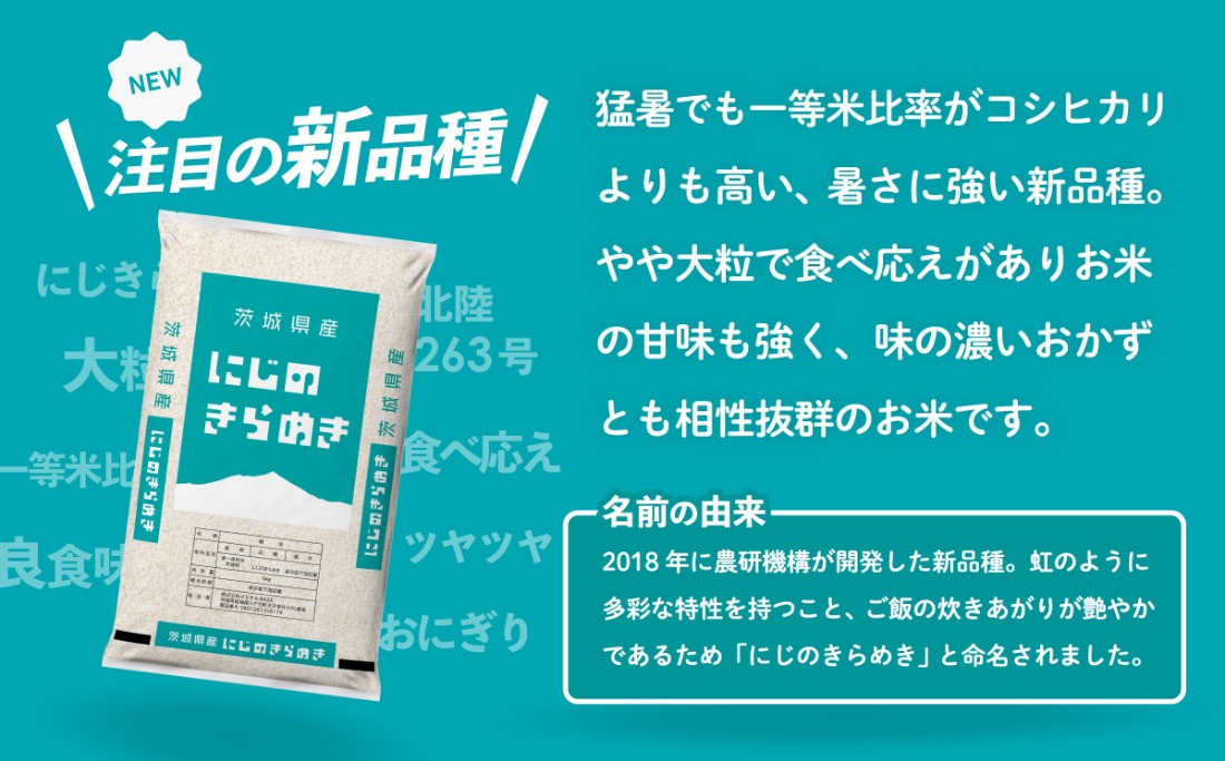 選べるお米 すぐ届く 7月 8月 5kg 10kg 令和6年産 こしひかり に