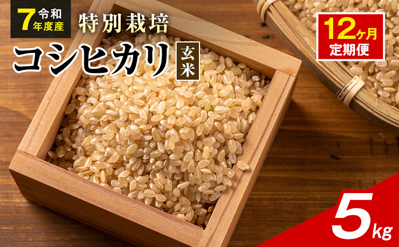 玄米　コシヒカリ　24kg　特別栽培米　茨城県産 食品 ☆新米☆特別栽培米コシヒカリ玄米24kg