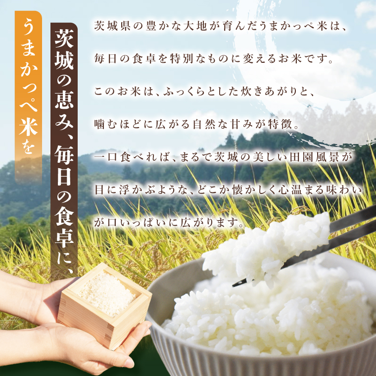 2ヶ月定期便】令和7年産 奥久慈の恵みうまかっぺ米（コシヒカリ） 5kg