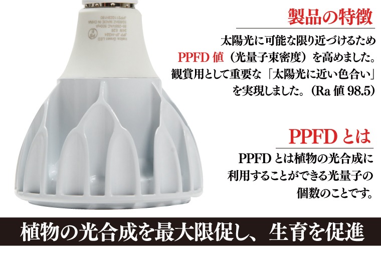 BN038 植物育成ライト「ヘリオスグリーンLED（ホワイト）」（埼玉県