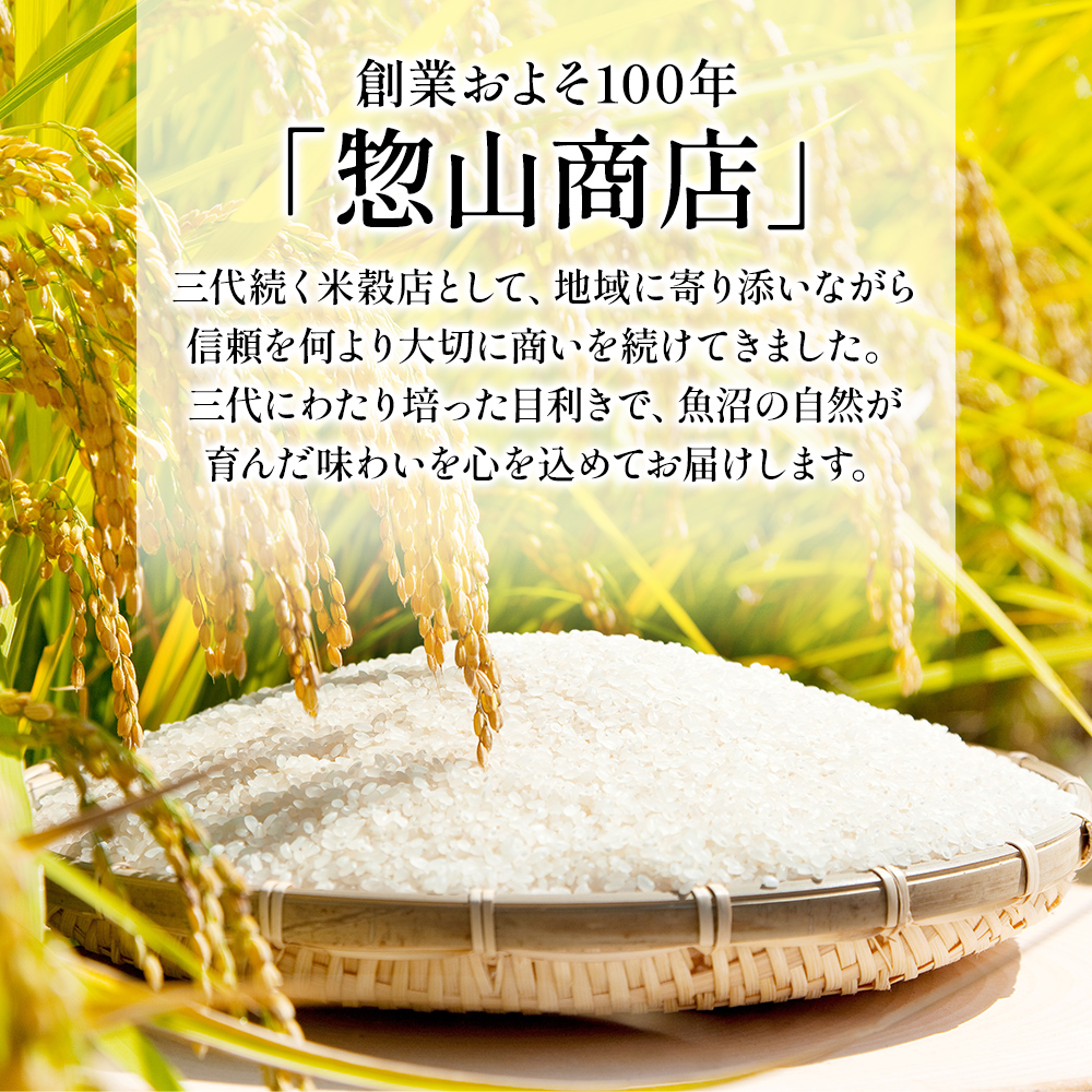 魚沼産コシヒカリ（精米） 15kg 魚沼産コシヒカリ（精米） 15kg【公式