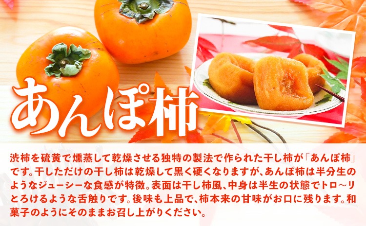 柿　マンゴードリアン　2点セット 1c5b09c1-8a21-41cd-9cae-