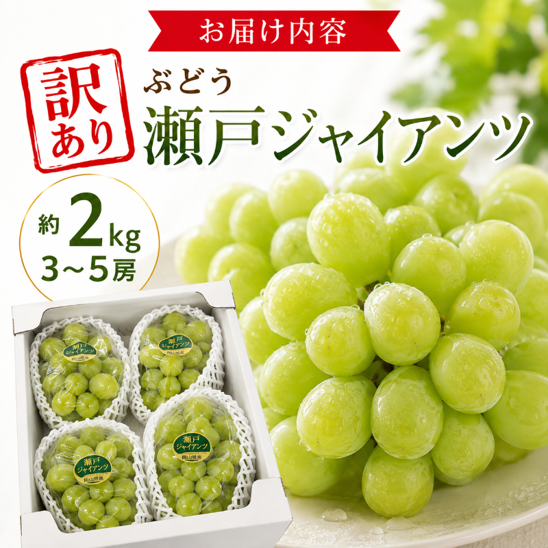 訳あり ぶどう 瀬戸ジャイアンツ 約2kg 3～5房 高梁市産 2027年 先行