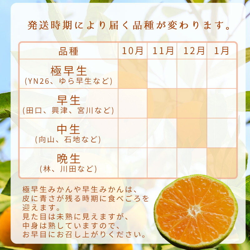 2026年先行予約】ご家庭用 有田みかん 和歌山 大玉(2L,3Lサイズ混合
