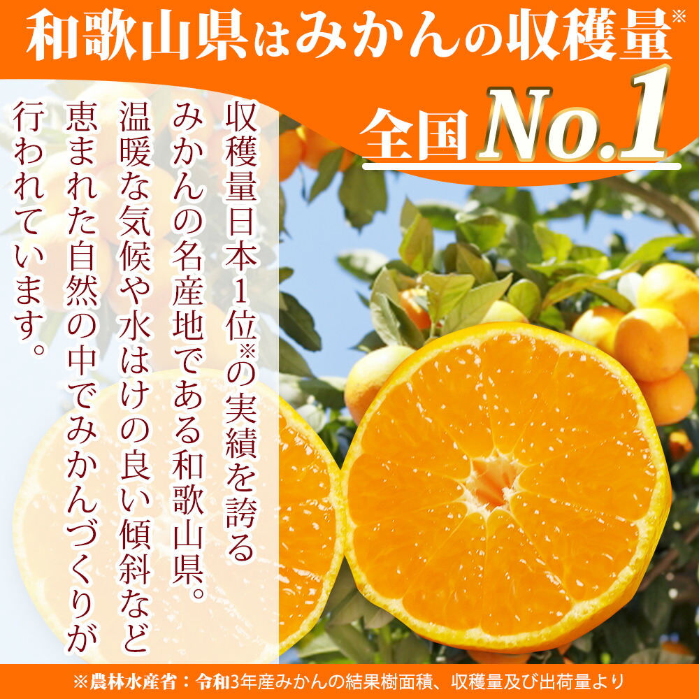 2026年先行予約】（訳あり 家庭用）濃厚な味わいのこだわり 有田みかん