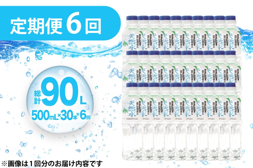 BJ616 山崎本店酒造場 【6回定期便】 雲仙島原の天然水 500mL 30本 計