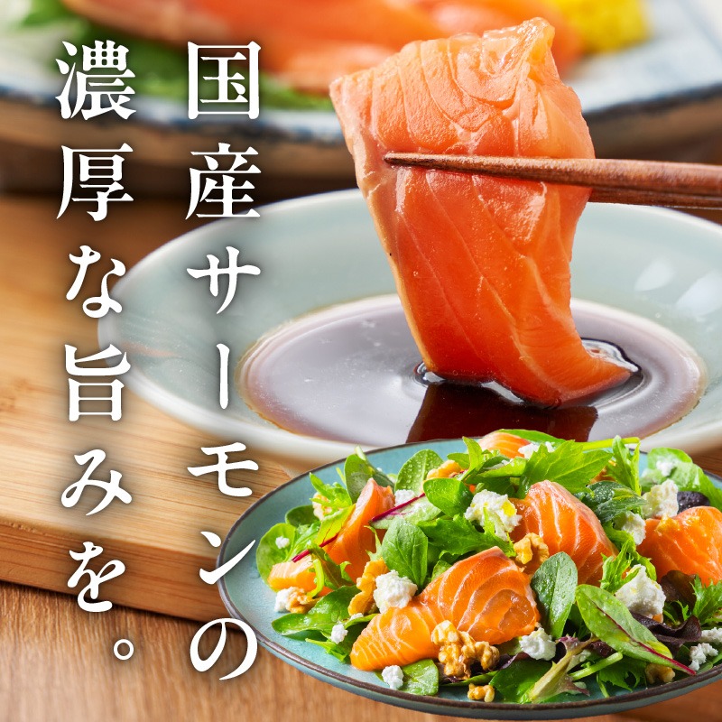 サーモン G5602 シャインサーモン 400g×1P【国産 小分け さーもん 鮭 さけ