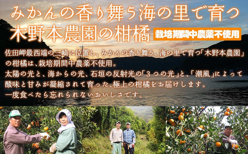 定期便】【栽培期間中農薬不使用】清見ストレートジュース 720ml×2本