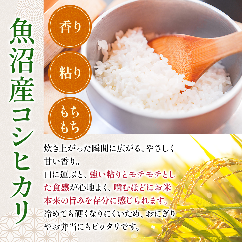 令和7年度産【十日町産】 魚沼産コシヒカリ15kg 米 お米 こしひかり