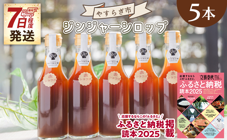 生姜 シロップ 200ml×5本 ジンジャーシロップ 【7日程度で発送】 yr