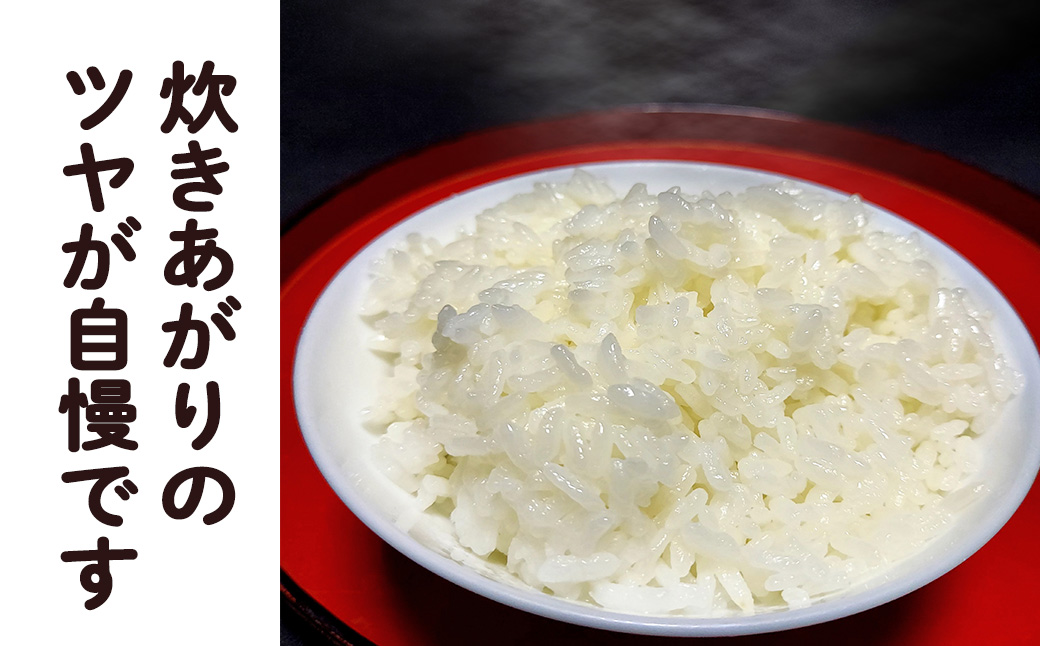 令和8年産予約受付＞銀河のしずく 厳選プレミアム 玄米30kg 【2234