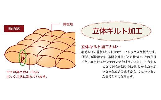 ザ・羽毛布団 ロイヤルゴールドラベル ダブル 190×210cmポーランド産