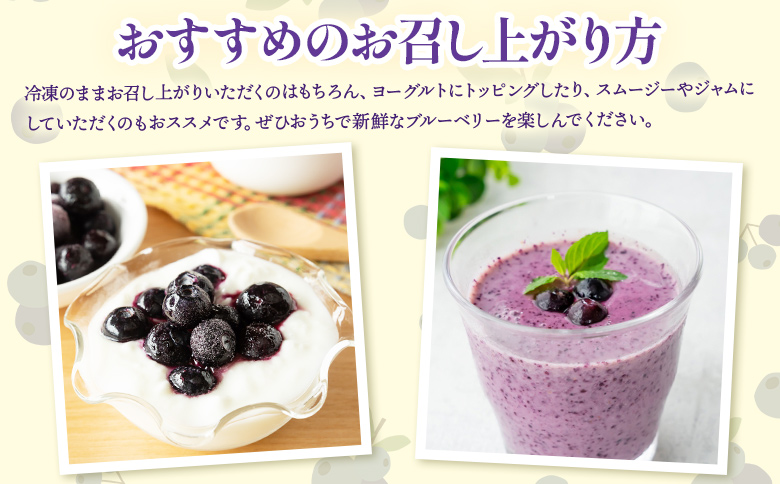 ブルーベリー 完熟 冷凍ブルーベリー 約1kg(200g×5袋) - フルーツ 果物