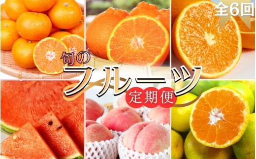 全6回定期便】旬のフルーツ定期便 【田村みかん / 紀州デコ(不知火