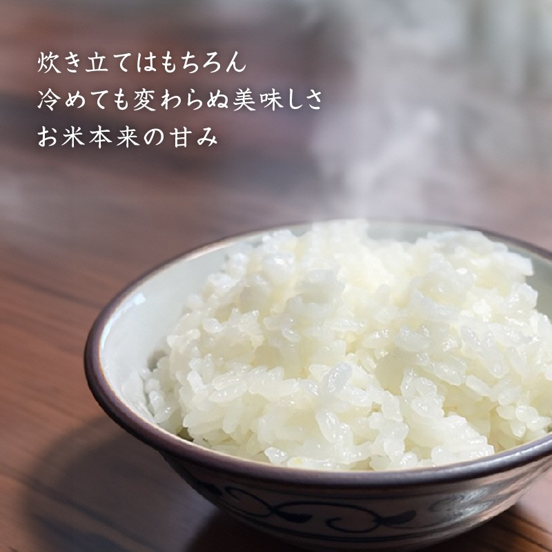 10か月定期便】令和8年産新米 魚沼産コシヒカリ 精米10kg×10回 計