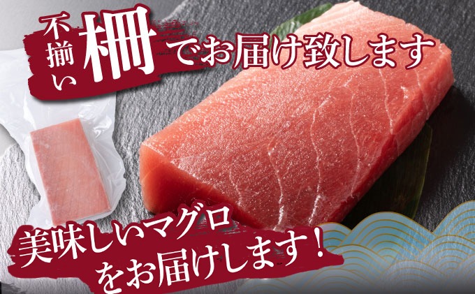 訳あり 《 天然メバチマグロ 》480g (不揃い柵) サク 柵 メバチ 目鉢