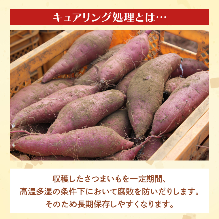 茨城県産 紅はるか 訳あり サイズミックス 約5kg｜訳あり わけあり 訳