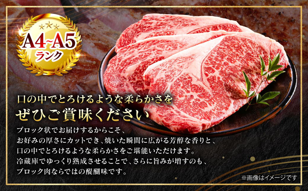 A4～A5ランク】 くまもと黒毛和牛 ロース ブロック 約1kg （約500g×2