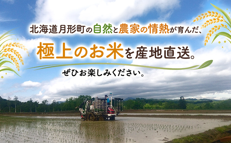 先行受付】令和8年産 ななつぼし10kg(10kg袋×1個)北海道 特A 精米 米