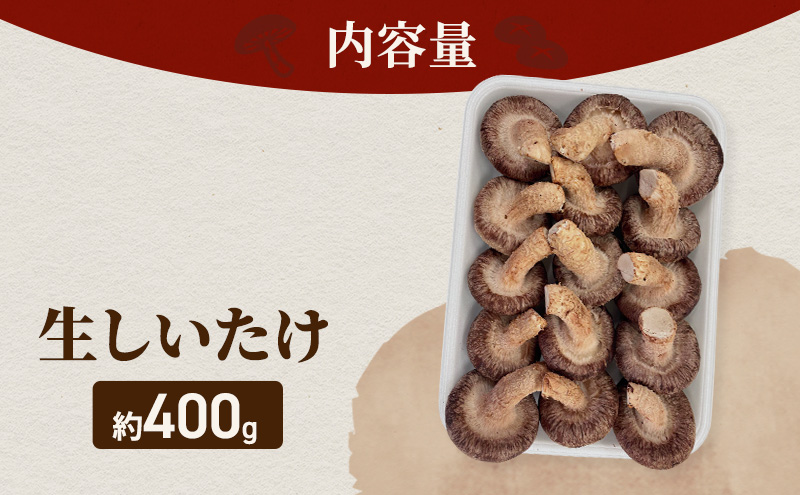 遠州どまんなかしいたけ】 生しいたけ 約400g 椎茸 産地直送 国産 料理 