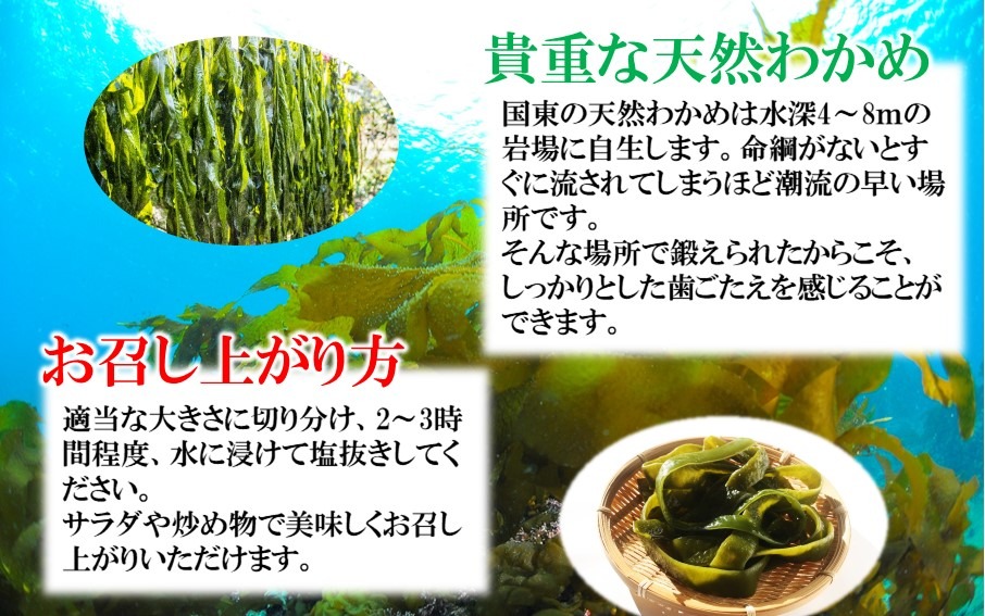 コリコリ食感がクセになる！ 国東 天然 茎わかめ 280g×6P + 140g×2P