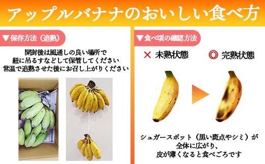 希少栽培種】あかみね熱帯フルーツのアップルバナナ約3kg - 国産 希少