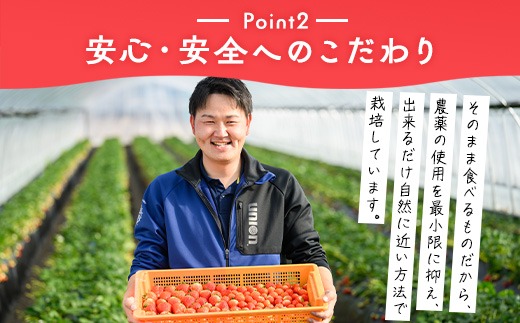 いちご（とちあいか） 290g×2パック 580g以上｜先行予約 数量