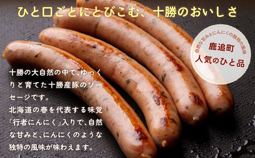 行者にんにく入りソーセージ 1.6kg（160g×10） SKD027（北海道鹿追町