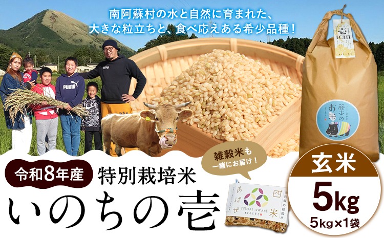 令和8年産 特別栽培米 いのちの壱 玄米 5kg 雑穀米付き 虹色のかば《30