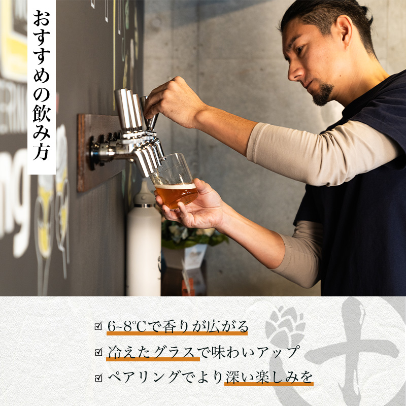 Tsuji Brewingオリジナルクラフトビール6本セット お酒 地ビール