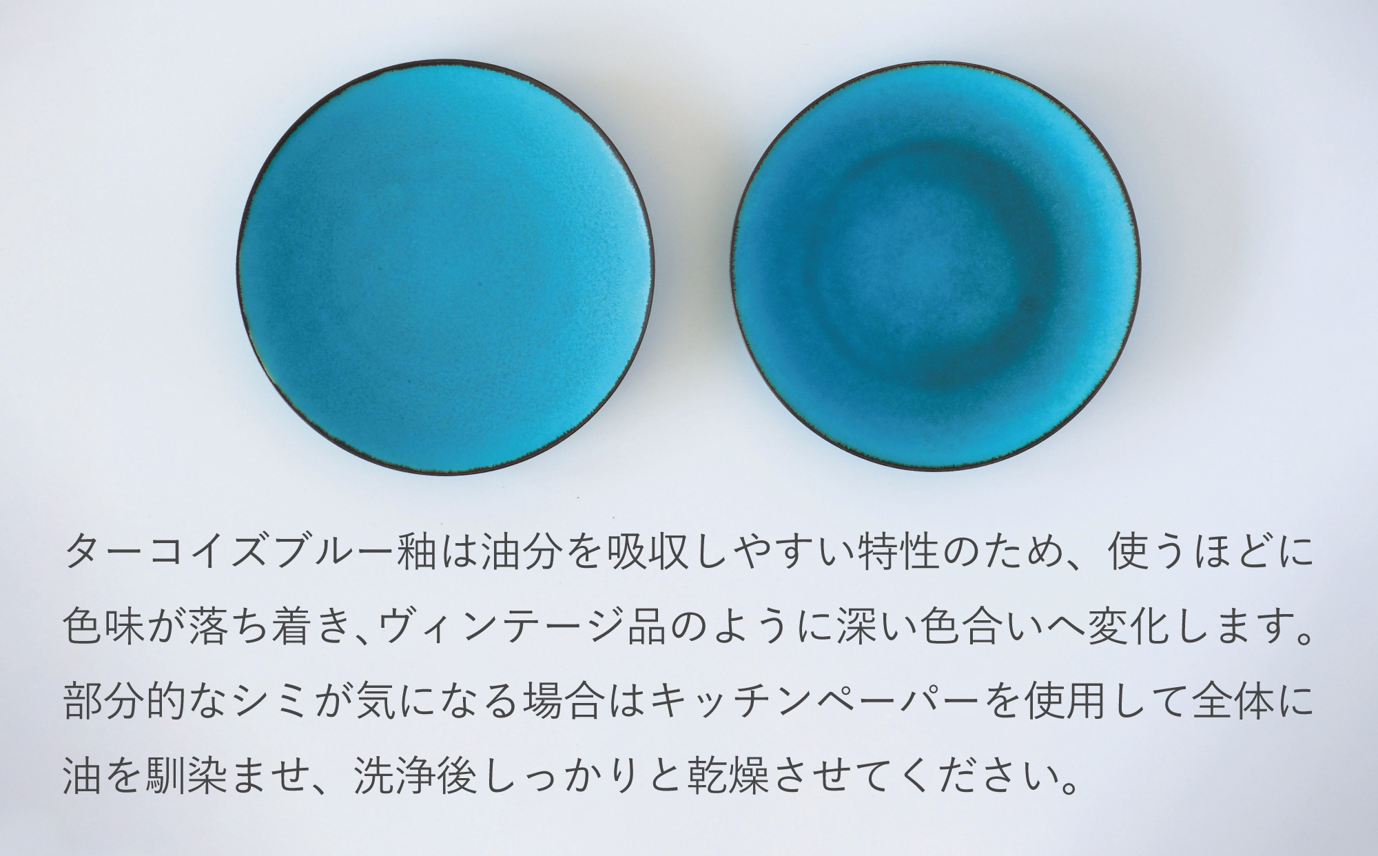 新品　未使用　パスタ皿　虎　とんぼ　カズコロッシュ　ブルー&ホワイト 新品 未使用 パスタ皿 虎 とんぼ カズコロッシュ ブルー&ホワイト