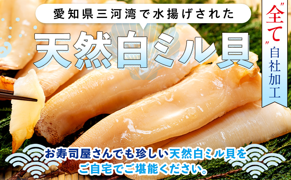 岬だより ＜貝専門店＞ 天然 白ミル貝 100g × 3袋 冷凍 新鮮 海鮮 鮮度