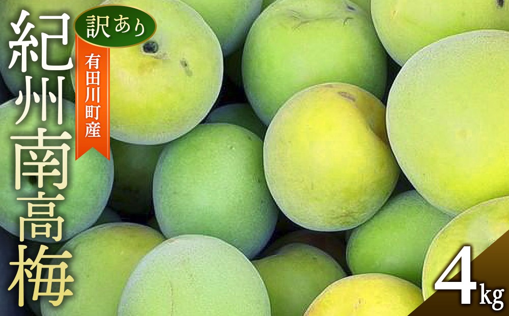 青梅 4kg 紀州南高梅 シロップ・梅酒・梅干し用等 和歌山県有田産 訳