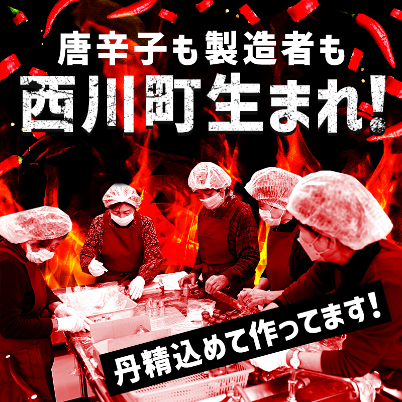 FYN9-528 山形県 西川町産 唐辛子使用！ 月山なんばこ 3種3本セット