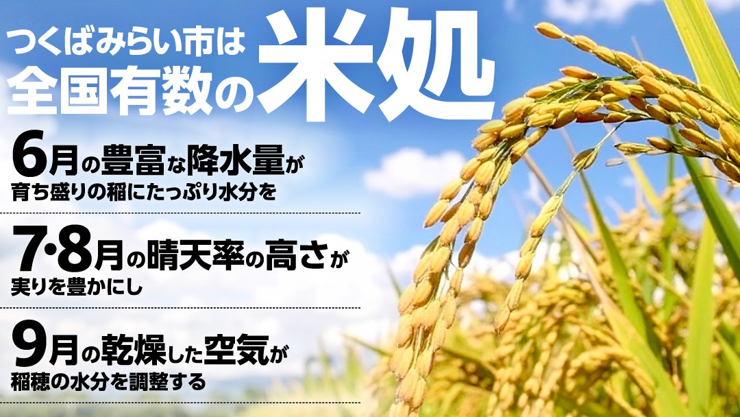 すぐ届く！ 令和8年産 新米 コシヒカリ 玄米 30kg 茨城県つくばみらい