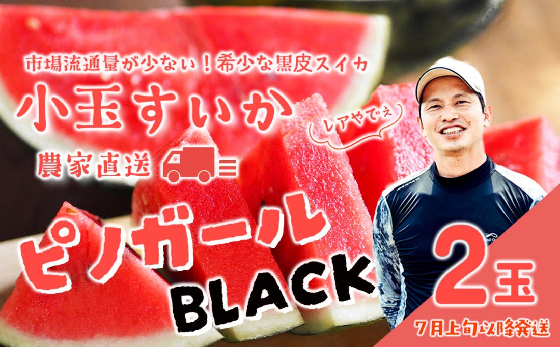 【無農薬】ブラックキング　黒皮スイカ 大玉　２個セット 18キロ 先行予約 2027年7月上旬以降発送 】八千代町産 黒皮 小玉スイカ
