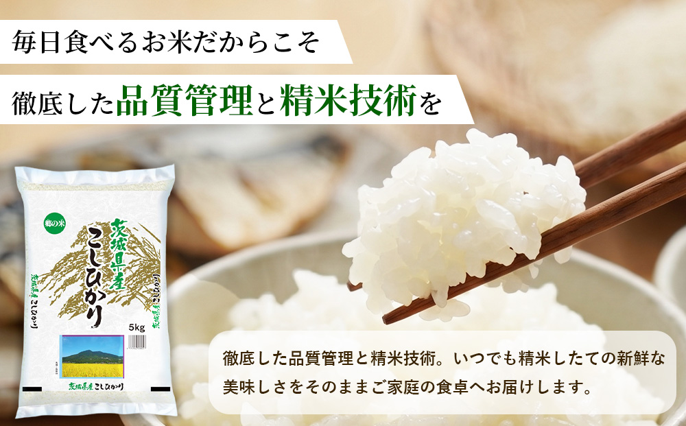 定期便2ヶ月】【令和8年産】茨城コシヒカリ 5kg×1袋【精米】 | お米 米