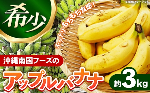 アップルバナナ120cm以上程度3本セット 値下げ！アップルバナナ苗10本 ！EM栽培ドワーフ90cm以上！