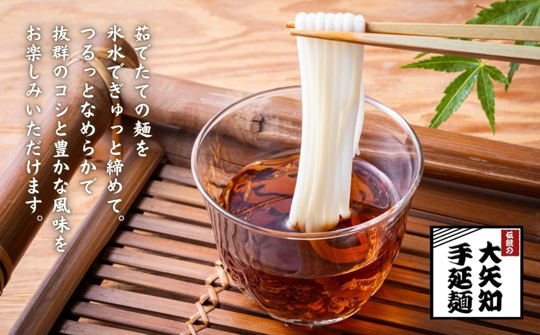 TV番組 マツコ＆有吉 かりそめ天国 紹介店】「金魚印」手延ひやむぎ 40