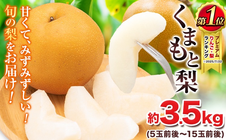 熊本県産 豊水梨 約10キロ 豊水梨【熊本県産】10〜36玉 約10kg 果物 くだもの 期間限定