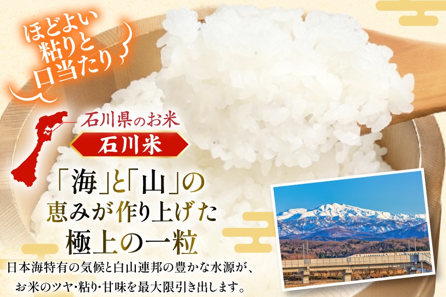期間限定発送】 米 令和7年 石川県産 石川米こしひかり【穂立】5kg