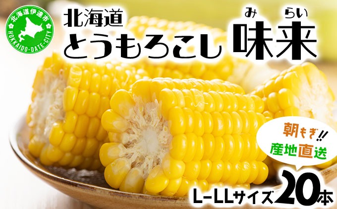 先行予約＞【2026年発送】北海道産 とうもろこし 味来 L?LLサイズ 20本