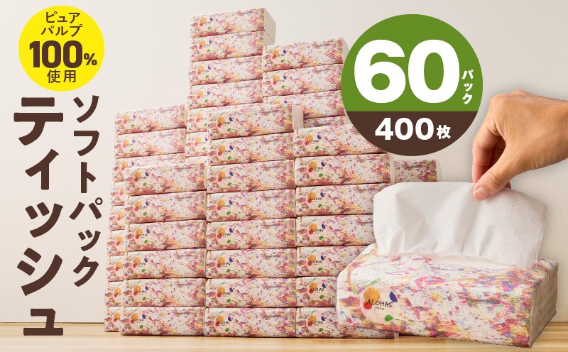 010B1754 ソフトパックティッシュ 60パック×400枚 200組【ピュアパルプ