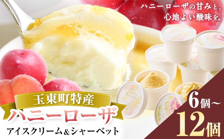 糖度17％★本州クール便込み【激レアなハニーローザ＆あんず約1.8kg】北信州 抜群の糖度と爽やかな酸味♪ハニーローザアイスクリーム＆ハニーローザ