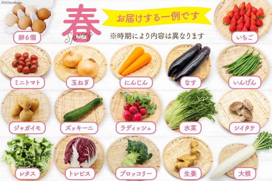 ゆっちょん様 野菜セット果物追加 BE236 旬の野菜・フルーツ (12～14品目)・卵 (6個) おまかせ